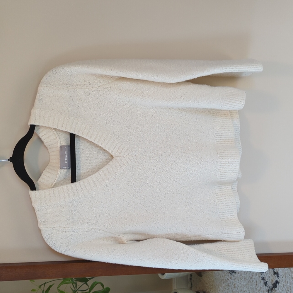 Everlane Teddy Sweater